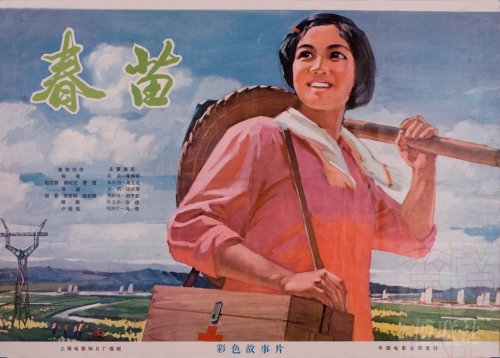 学历在线认证报告是电子备案表吗